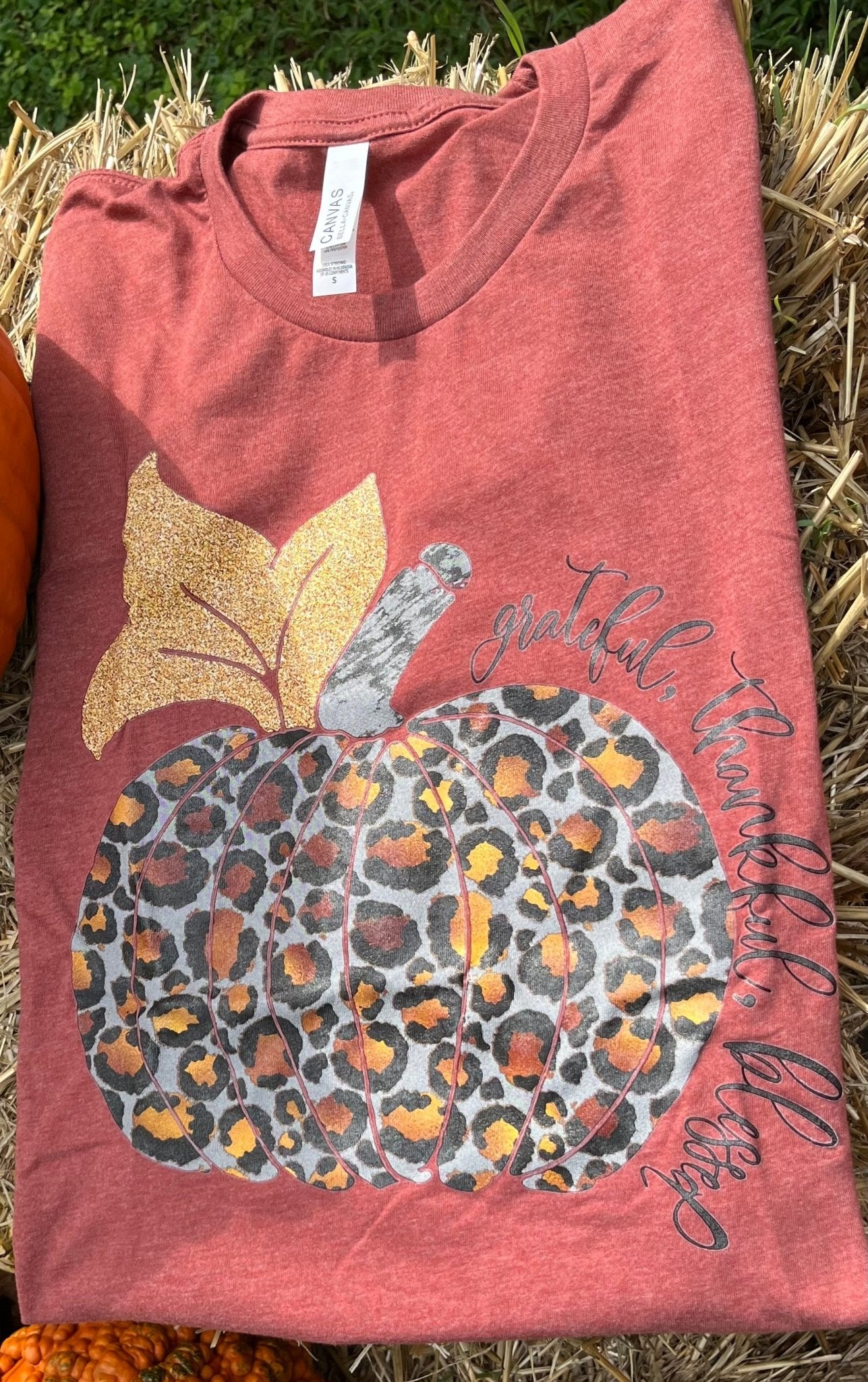 TGB Leopard Pumpkin - the Boujee Sunflower